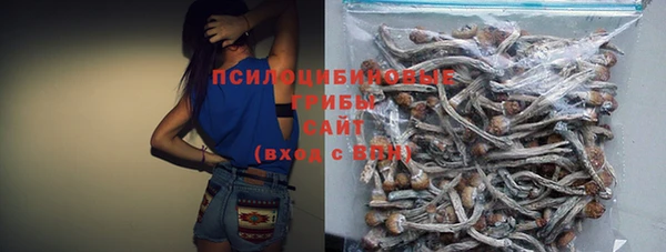 спиды Белоозёрский