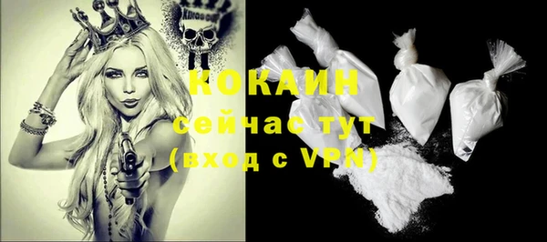 сатива Беломорск
