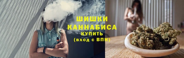 сатива Беломорск