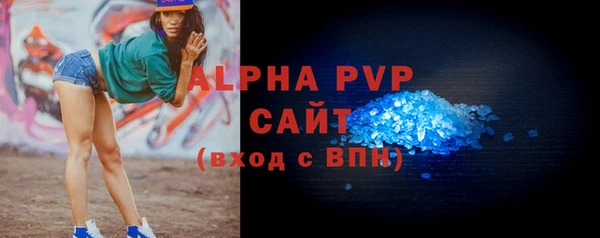 сатива Беломорск