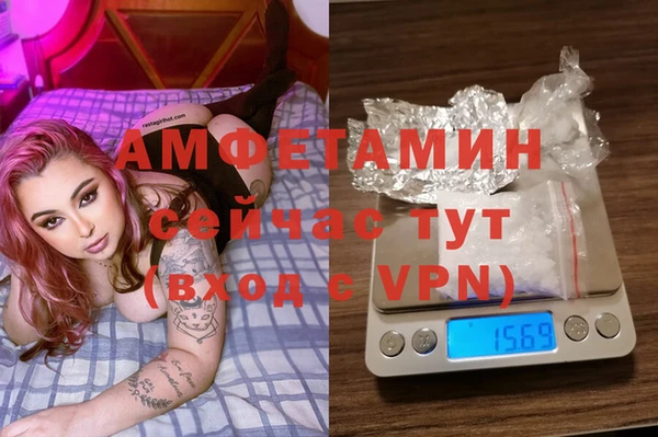сатива Беломорск