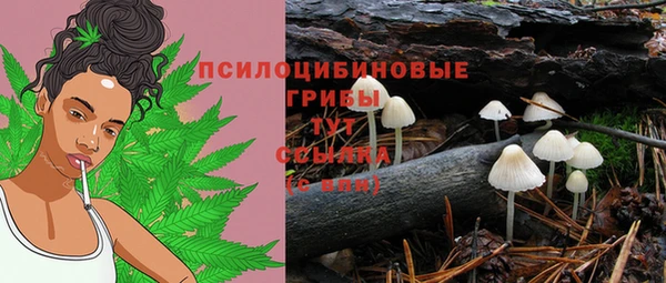 сатива Беломорск