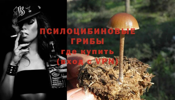 амфетамин Белокуриха