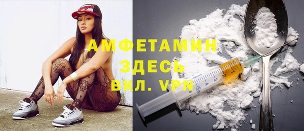 сатива Беломорск