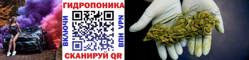omg вход  Нахабино  Конопля White Widow 